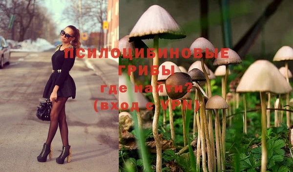 экстази Баксан
